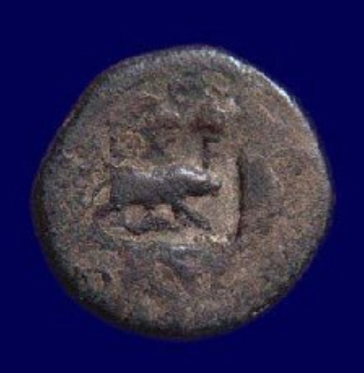 coin boar 1